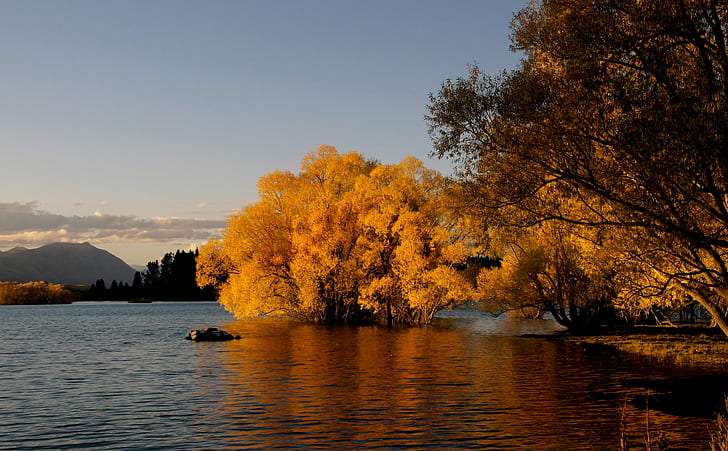 кафяво дърво на езеро, езеро tekapo, езеро tekapo, есен, езеро Tekapo, кафяво, дърво, Tamron, PZD, Sony DSLR A580, Нова Зеландия Южен остров, езеро, есенна есен, есенни цветове, Public Domain, Dedication, CC0, Geo- Tagged, снимки, природа, пейзаж, гора, жълто, на открито, листа, живопис, красота В природата, HD тапет