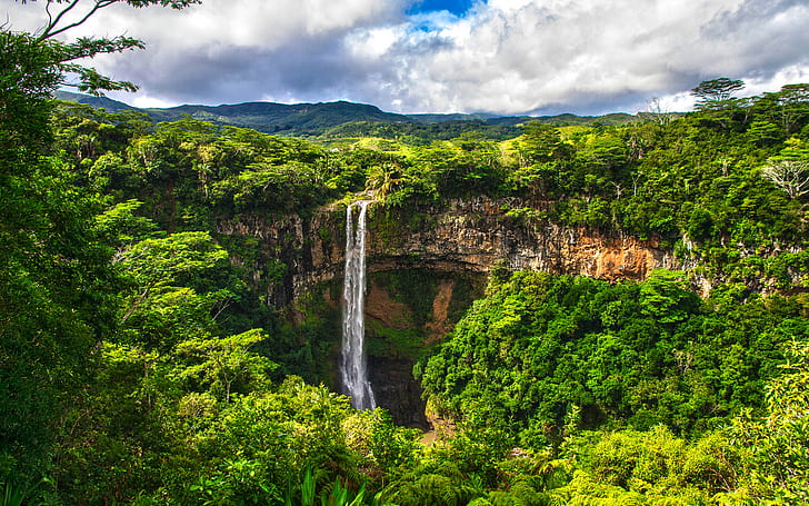 Waterfall Jungle Forest HD, przyroda, las, wodospad, dżungla, Tapety HD