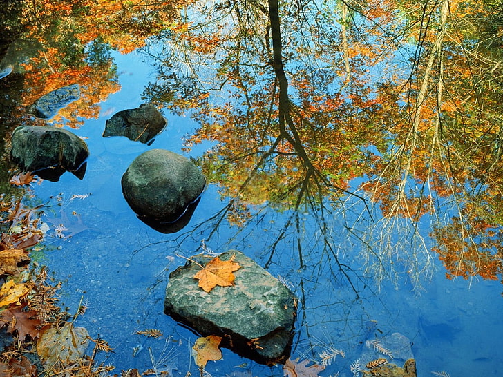 grey rocks, autumn, stone, leaves, colors, reflection, mirror, HD wallpaper