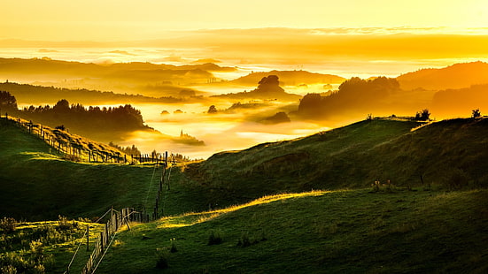 grüne Wiese, Natur, Landschaft, Wolken, Hügel, Neuseeland, Gras, Feld, Zaun, Nebel, Bäume, Wald, Sonnenlicht, HD-Hintergrundbild HD wallpaper