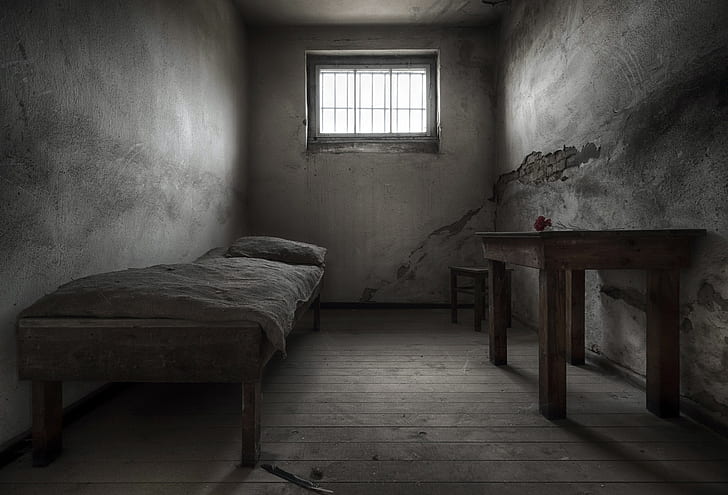Kamera, Nelke, Gefängnis, HD-Hintergrundbild