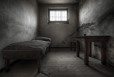 Kamera, Nelke, Gefängnis, HD-Hintergrundbild HD wallpaper
