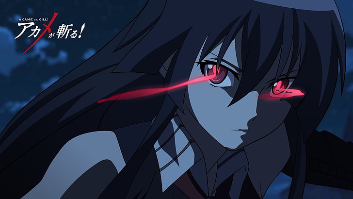 schwarzhaarige weibliche Figur, Akame ga Kill !, Akame, HD-Hintergrundbild
