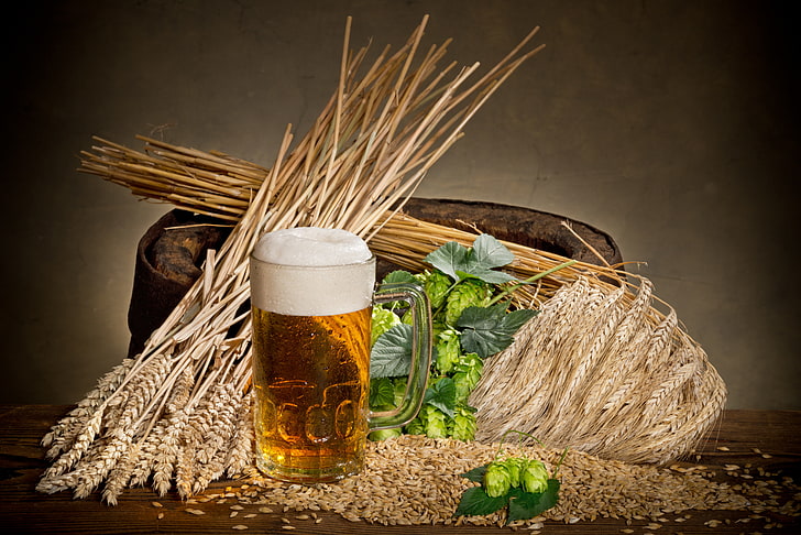 malt beer glass, beer, millet, hops, HD wallpaper