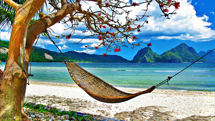 Гамак Тропический пляж Деревья Океан HD, природа, деревья, океан, пляж, тропик, гамак, HD обои