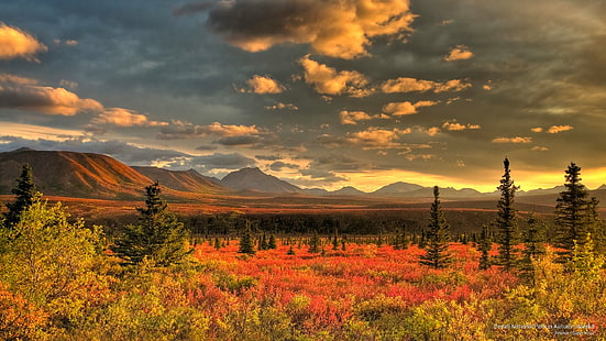 Parque Nacional Denali en otoño, Alaska, parques nacionales, Fondo de pantalla HD HD wallpaper