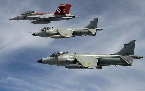 duas varas de pesca em preto e cinza, Boeing F / A-18E / F Super Hornet, super hornet, Boeing, aeronaves, aviões militares, Harrier, HD papel de parede HD wallpaper