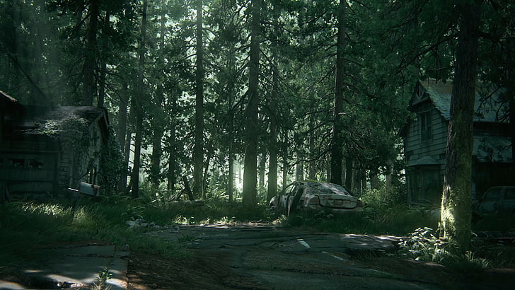 The Last of Us Part 2, The Last of Us 2, Ellie, Sfondo HD
