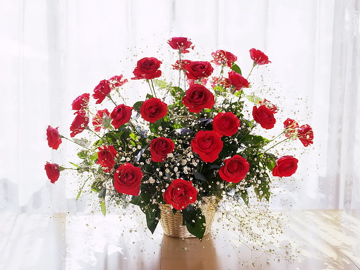красные цветы и зеленые листья декор стола, розы, цветы, гипсофила, цветок, корзина, красота, HD обои