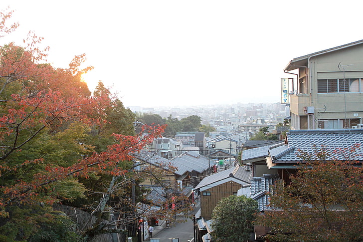 秋、紅葉、日本、日本文化、京都、旧市街、 HDデスクトップの壁紙