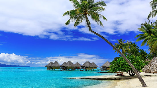 bora bora, franska polynesien, sommar, semester, tropisk, kust, palm, HD tapet HD wallpaper