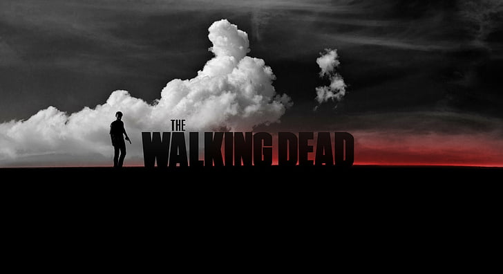 Acara TV, The Walking Dead, Rick Grimes, Wallpaper HD