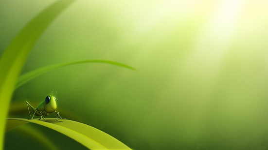 green, leaf, grass, insect, cartoon, illustration, grasshopper, HD wallpaper HD wallpaper