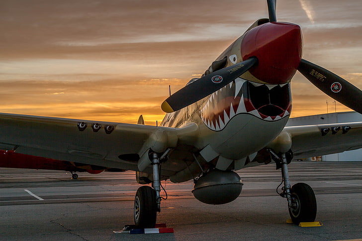 sunset, fighter, the airfield, P-40 Warhawk, HD wallpaper