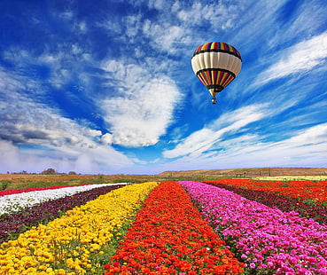 white, red, yellow, purple, and pink flower field, field, the sky, clouds, flowers, nature, balloon, HD wallpaper HD wallpaper