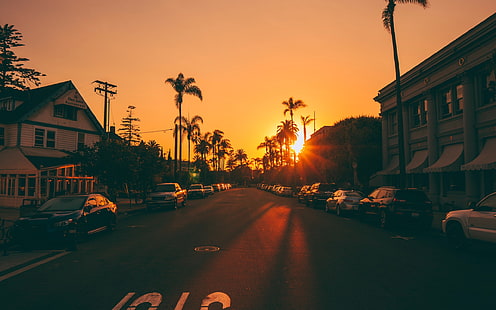 Miasta, miasto, budynek, samochód, palma, droga, zachód słońca, słońce, Tapety HD HD wallpaper