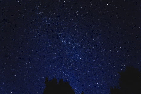 blue and black night sky, starry sky, shine, night, blue, HD wallpaper HD wallpaper