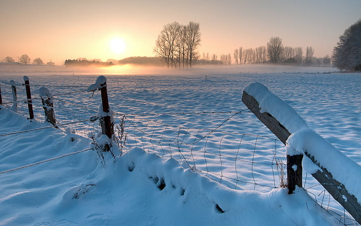 Снежна зима слънчева светлина ограда HD, природа, слънчева светлина, сняг, зима, ограда, HD тапет
