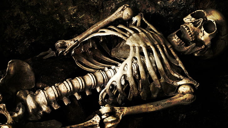 скелет, кости, череп, HD обои