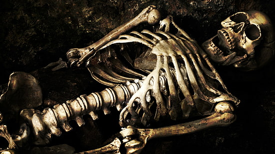 skelett, ben, skalle, HD tapet HD wallpaper