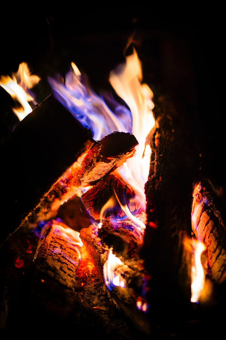 bonfire, fire, firewood, ash, flame, HD wallpaper