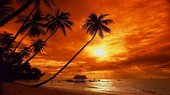 solnedgång, tropisk, strand, natur, HD tapet HD wallpaper