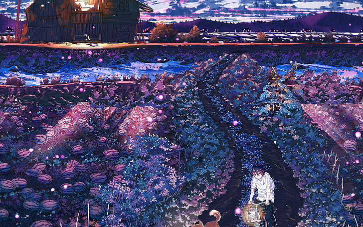 anime, night, art, sunset, lovely, illustration, HD wallpaper