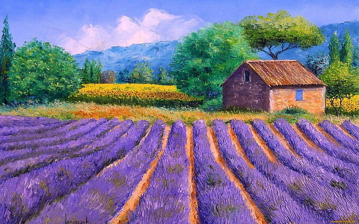 artist, house, lavender, impressionist, jean marc janiaczyk, artyu field, HD wallpaper