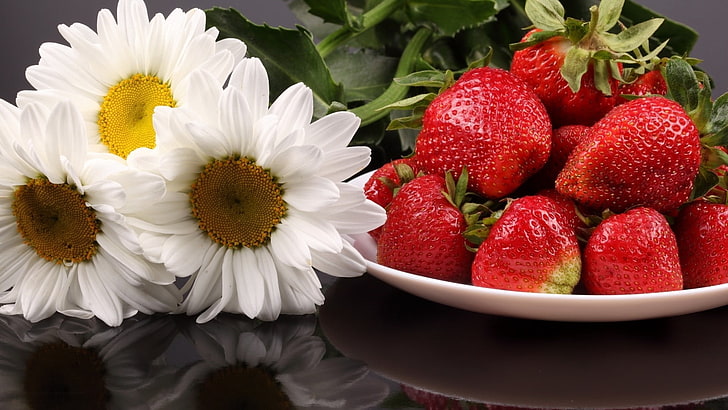 strawberries and daisy flowers, daisies, three, strawberries, bowl, table, HD wallpaper