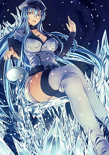 ภาพประกอบอนิเมะ Akame ga Kill Esdeath, Akame ga Kill!, Esdeath, ice, วอลล์เปเปอร์ HD HD wallpaper