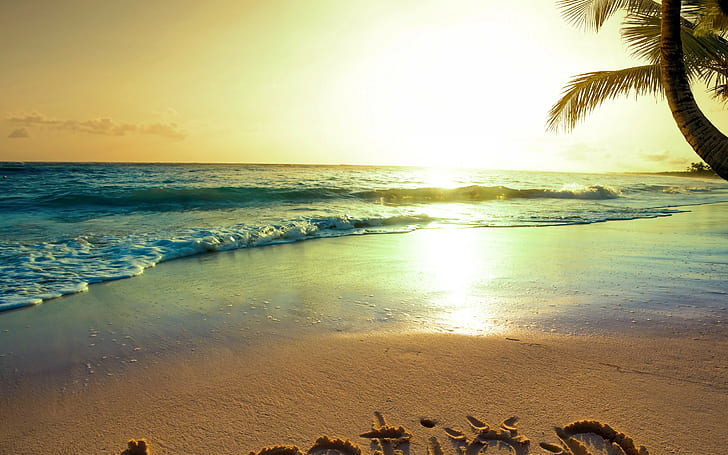 Verano, palmera, SummerTime, tropical, paraíso, playa, costa, mar, azul, esmeralda, océano, palma, verano, arena, vacaciones, puesta de sol, Fondo de pantalla HD