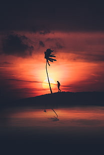 пальма, силуэт, закат, ночь, одиночество, одиночество, HD обои HD wallpaper