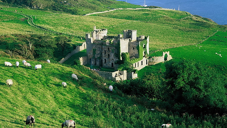 highland, grassland, historic, mount scenery, castle, clifden castle, ireland, grass, pasture, galway, europe, ruin, abandoned, HD wallpaper
