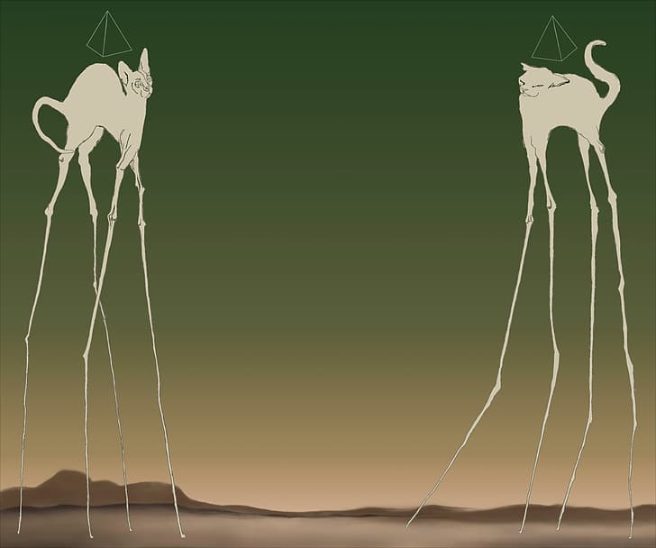 Salvador Dalí, elefante, gatos, memes, alen, Fondo de pantalla HD