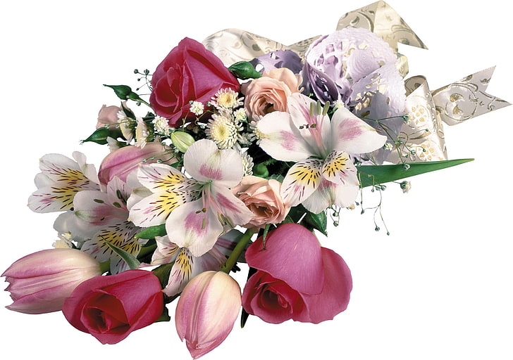Tulipanes y rosas blancas HD fondos de pantalla descarga gratuita |  Wallpaperbetter