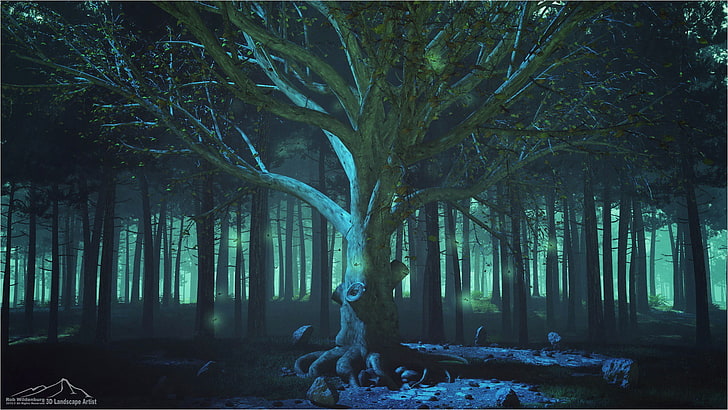 снимка при слабо осветление на голо дърво, гора, дървета, зелено, HD тапет