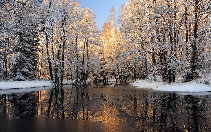 Winter, snow, forest, trees, ice, lake, Winter, Snow, Forest, Trees, Ice, Lake, HD wallpaper