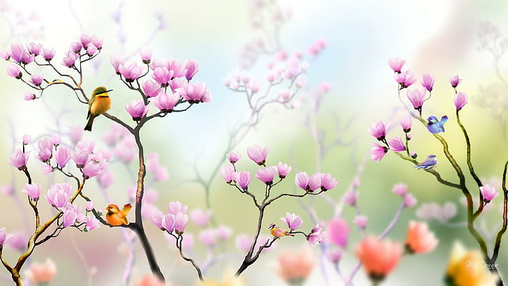 Uccelli colorati in albero di tulipani, albero di tulipano, luminoso, giardino, fiori, rosa, primavera, uccelli, luce, estate, natura e paesaggi, Sfondo HD