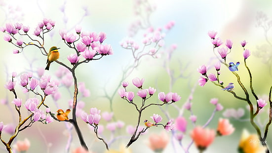 Разноцветные птицы в тюльпане, тюльпанное дерево, ярко, сад, цветы, розовый, весна, птицы, свет, лето, природа и пейзажи, HD обои HD wallpaper