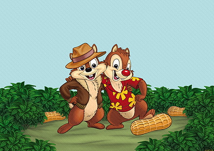ilustracja dwie wiewiórki, kreskówka, disney, wiewiórki, Chip i Dale, Tapety HD HD wallpaper