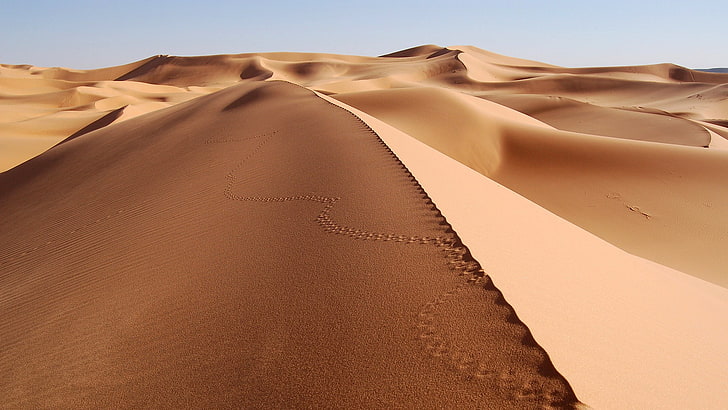 deserto, pegadas, duna, areia, paisagem, natureza, HD papel de parede