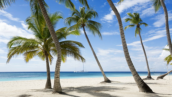 Jamaika, 5k, 4k тапет, Карибите, плаж, палми, небе, пътуване, туризъм, HD тапет HD wallpaper