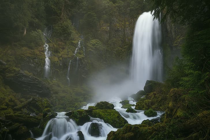 skog, stenar, mossa, vattenfall, Columbia River Gorge, Washington State, Columbia River Gorge, Washington, Tribulation Falls, HD tapet