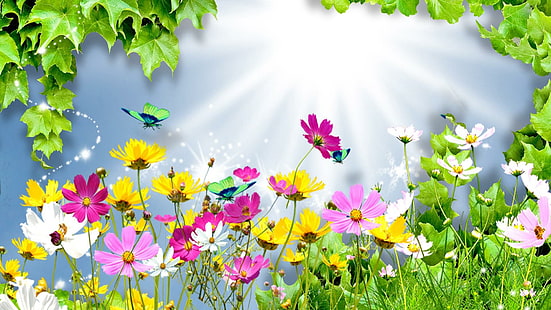 Verano brillante, brillante, flores silvestres, margaritas, primavera, cosmos, brillo, verano, 3d y abstracto, Fondo de pantalla HD HD wallpaper