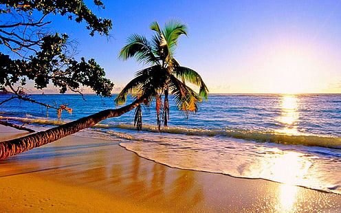 Красив райски плаж 865434, HD тапет HD wallpaper