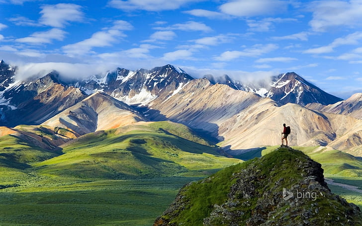 Denali National Park HD, alam, lanskap, taman, nasional, denali, Wallpaper HD