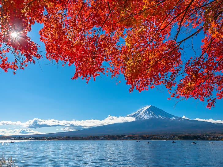 l'automne, le ciel, les feuilles, coloré, le Japon, le rouge, l'érable, le mont Fuji, le paysage, la montagne Fuji, Fond d'écran HD