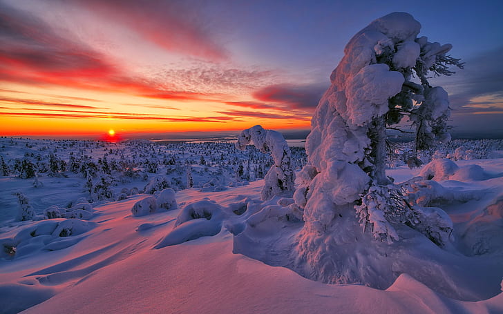 musim dingin, matahari terbenam, pemandangan, salju, Wallpaper HD