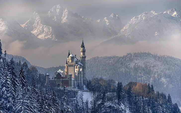 zamek obok zaśnieżonej góry, natura, krajobraz, góry, las, drzewa, zima, śnieg, zamek, budynek, Niemcy, Neuschwanstien, Tapety HD