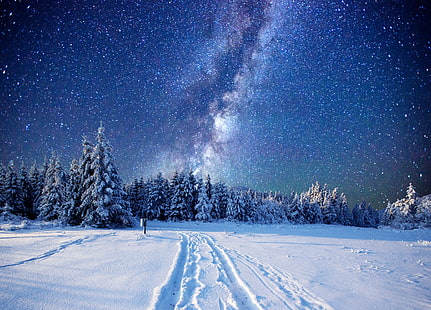 السماء ، والشتاء ، والليل ، والمناظر الطبيعية الشمالية ، والغابات ، والليل المرصع بالنجوم ، والثلج ، والمناظر الطبيعية، خلفية HD HD wallpaper